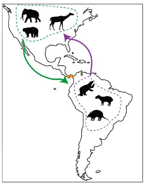 How Can We Monitor Mass Migrations Globally And Conserve Biodiversity Into The Future