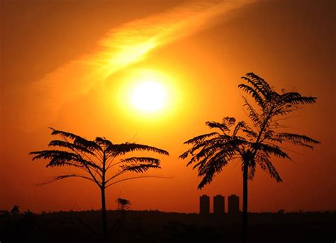 37 4ºC Campinas tem maior temperatura da história para novembro