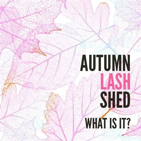 Autumn Lash Shed Seasonal Lash Shedding