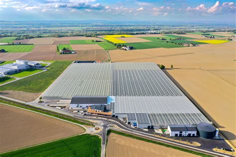 Upper Austrias First Geothermal Greenhouse Now Delivering Harvest