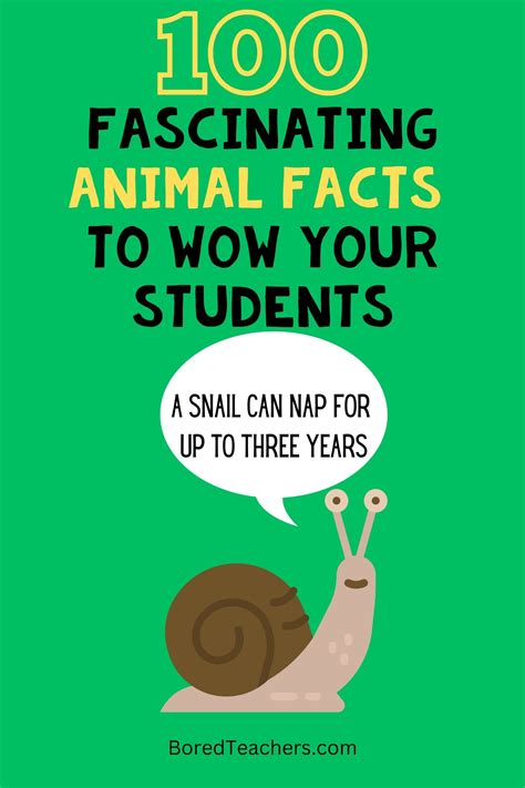 100 Fascinating Animal Facts to Wow Your Students