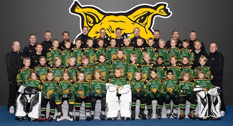 U9 2016 Ilves Jääkiekko