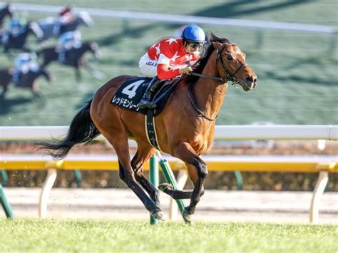 【節分sレース後コメント】レッドモンレーヴ川田将雅騎手ら 競馬ニュース