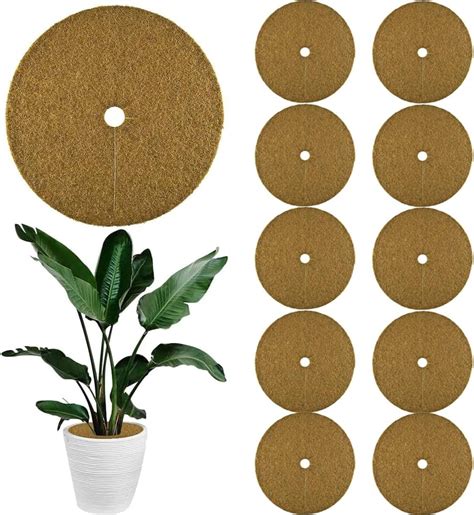 10 Pièces Tapis Coco Plante Disque Coco Plante Disque Paillage Coco