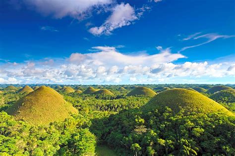 Discover Bohol Chocolate Hills in Cebu and Bohol | Trip Guru