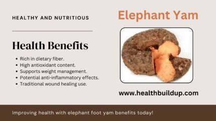 7 Great Benefits Of Elephant Foot Yam Suran