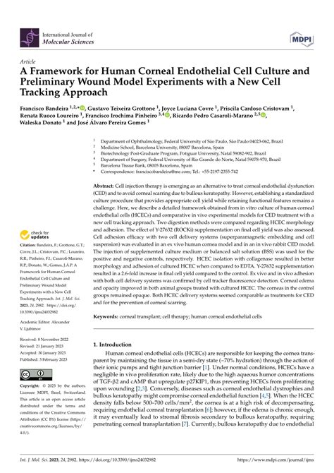 Pdf A Framework For Human Corneal Endothelial Cell Culture And Preliminary Wound Model