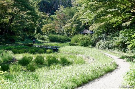 Meiji Jingu Gyoen Le jardin intérieur du sanctuaire de Harajuku