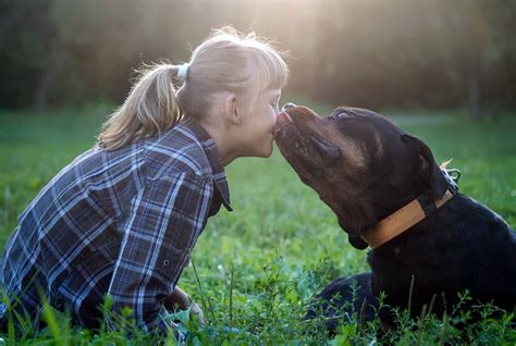 Rottweiler Temperament - The Facts You Need To Know