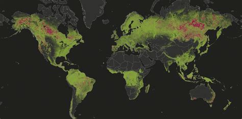 Forest News, Research & Monitoring | Global Forest Watch Blog