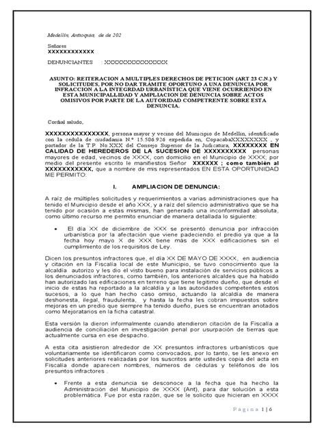 Ampliacion De Denuncia Pdf