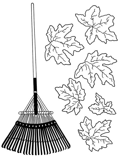 Picture Of Raking Leaves - Cliparts.co