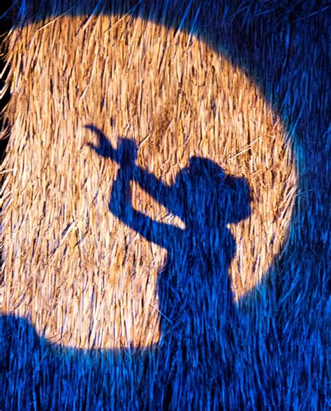 Shutterbugs Capturing the World Around Us: Shadow Dancing