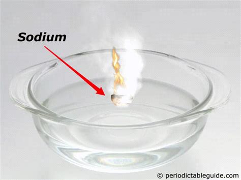 What Happens When Sodium Reacts With Water