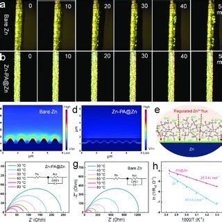 A Coulombic Efficiencies Of Bare Zn And Zn Pa Zn Plating Stripping On