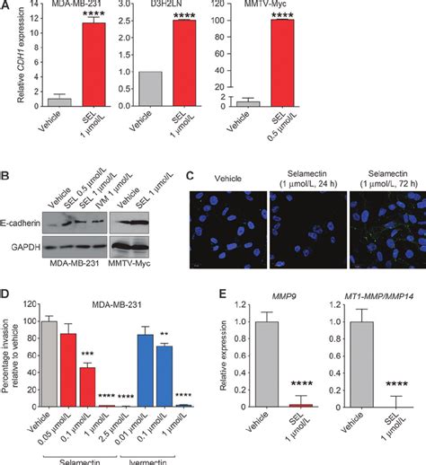 Treatment With Selamectin Or Ivermectin Leads To Upregulation Of Cdh