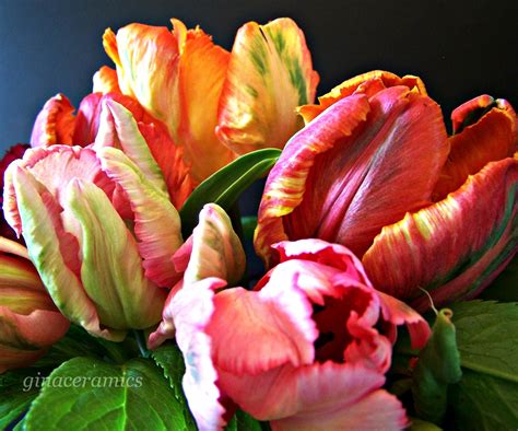 Parrot Tulip Bouquet Wild Orchid Des Moines Florist Des Moines