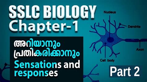 Sslc Biology Sensations And Responses അറിയാനും പ്രതികരിക്കാനും Chapter 1 Part 2 Youtube