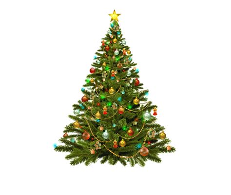 Christmas Tree Transparent Background