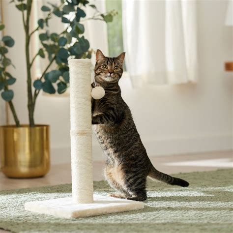 Best Scratching Posts For Large Cats In Reviews Top Picks