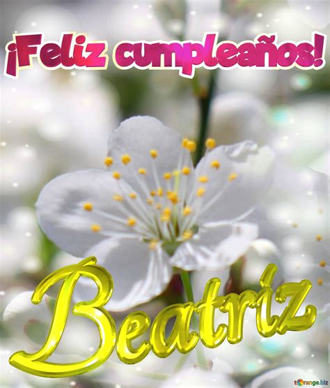 Feliz Cumplea Os Beatriz Imagen Libre