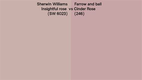 Sherwin Williams Insightful Rose Sw 6023 Vs Farrow And Ball Cinder