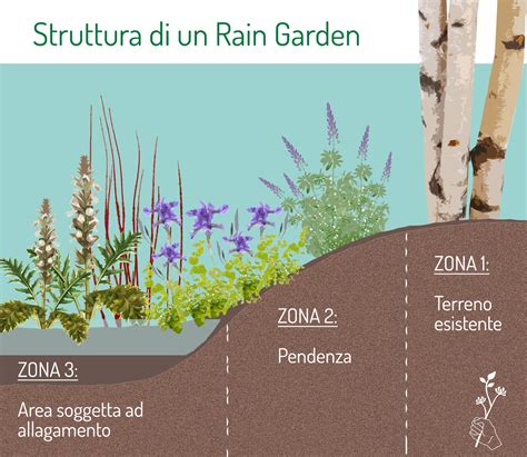 Rain Garden Prevenire Gli Allagamenti Con Le Piante Madreselva