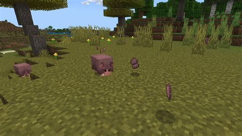 Minecraft Armadillo Scutes Guide How To Get Uses And More