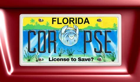 Floridas Specialty License Plates Steal Millions From Manatees And