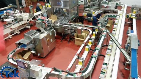 Packaging Line For Crisp Bags Customised Packaging Machinery Design