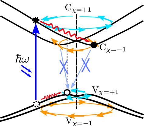 The Rappe Group Theoretical Physical Chemistry