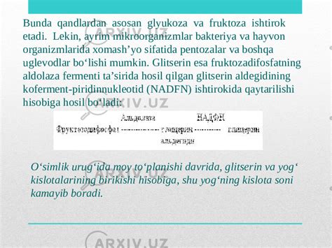 Lipidlar Almashinuvi Lipidlarning Katabolizmi Lipaza Fosfolipaza