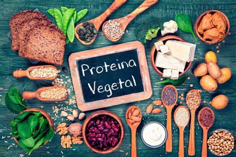 Proteínas En Las Dietas Vegetarianas Conética