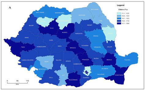 The Share Of The Elders In 2019 A And The Elderly Population Dynamics