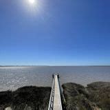 Sand Beach Trail, Florida - 2 Reviews, Map | AllTrails