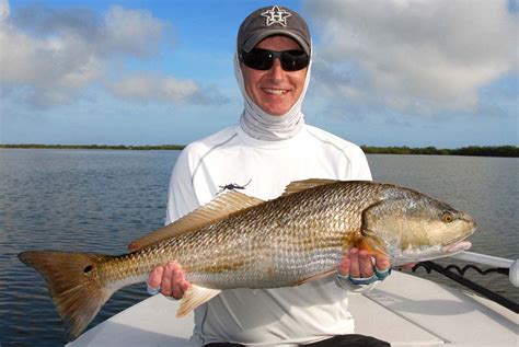 Central Florida Redfish Gallery•redfish Charters Near Orlando