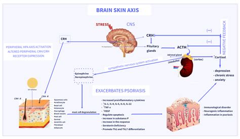 The Brainskin Axis In Psoriasis—psychological Psychiatric Hormonal