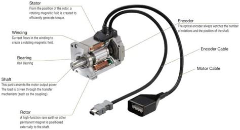 The Complete Servo Motor Guide