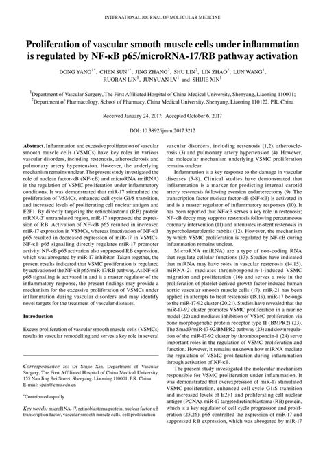 Pdf Proliferation Of Vascular Smooth Muscle Cells Under Inflammation