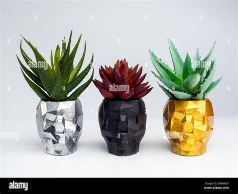 Black, silver, and gold color skull shape plant pots with red and green ...