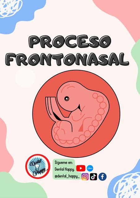 Proceso Frontonasal Alan D Az Udocz