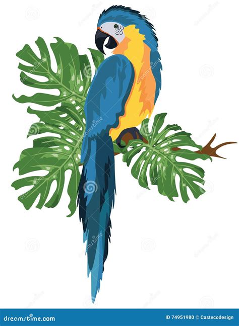 Parrot Sitting On A Tree Branch Isolated Stock Vector Illustration Of