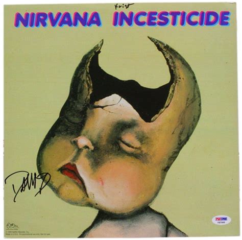 Nirvana Incesticide 1992 Nirvana Album Cover Nirvana Nirvana Album