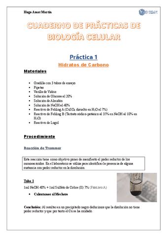 Cuaderno De Practicas De Biologia Celular Pdf