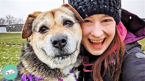 Abandoned Dog With The Best Smile Learns The World Is A Safe Place