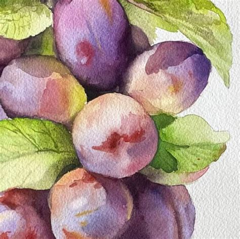 Janet Pulcho On Instagram My Watercolor Tips For Beginners And Here