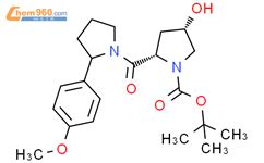 S S Tert Butyl Hydroxy Methoxyphenyl Pyrrolidine