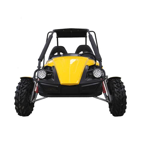 2 Seater Go Kart 250cc Adult Utility Buggy
