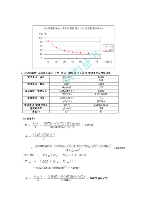 자연과학 이동현상실험 자연대류 강제대류 실험 Natural And Forced Convection 보고서자연과학실험과제