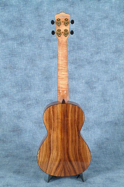 Lulu Uulele T3a Back Ukulele Electric Guitar Guitar